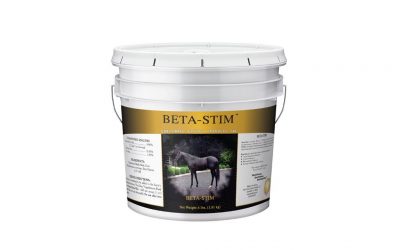 Supporting the Equine Immune System – Beta-Stim™