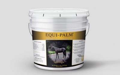 Equi-Palm Alternative Energy Source for Horses