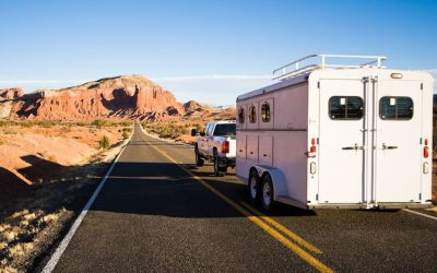 Feeding the Traveling Horse