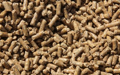 Ingredients in Equine Feed That Affect Behavior