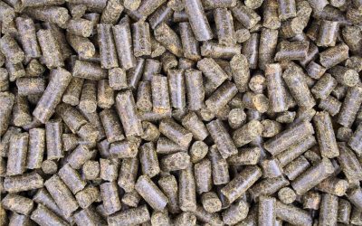 Feeding Myths Debunked – Pellets & Beet Pulp