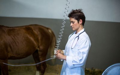 Is Botulism a Serious Threat To My Horse?